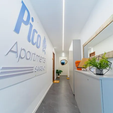 Pico 52 *